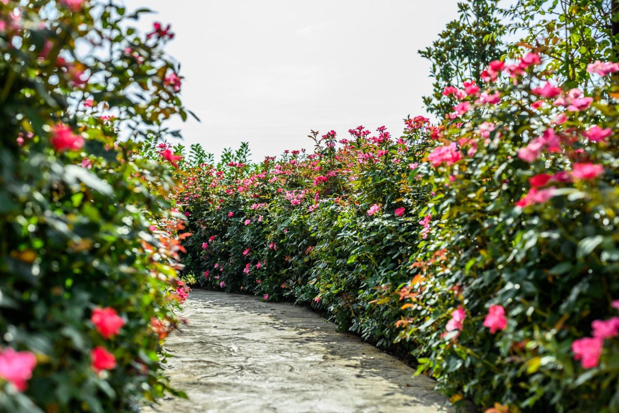 La Casa Di Valeria - Modena Bed & Breakfast Dış mekan fotoğraf